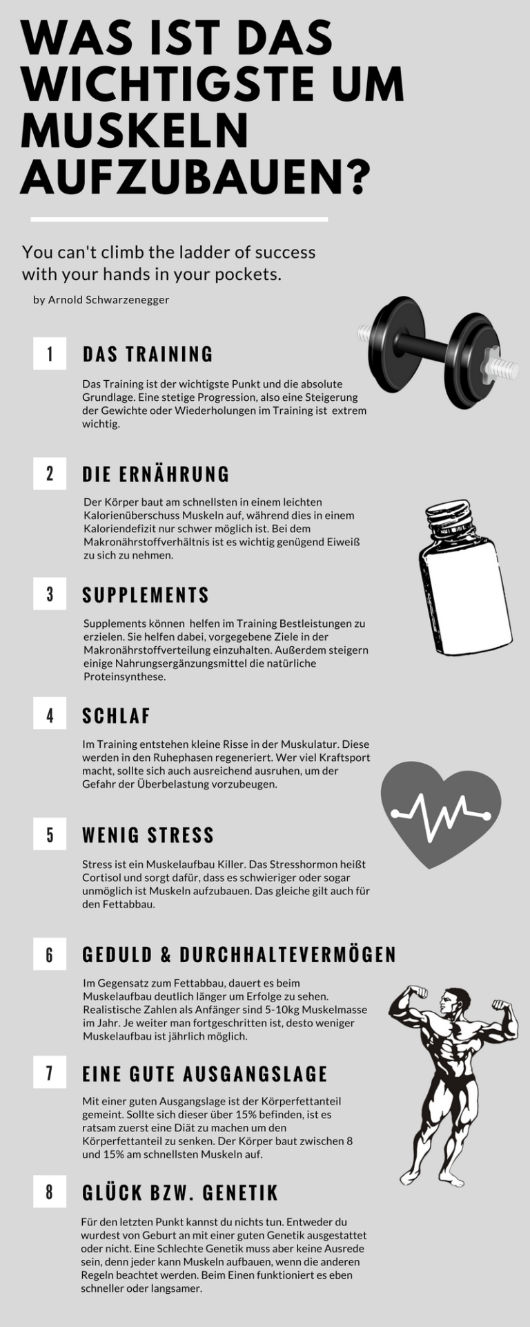 Was Braucht Man Um Muskeln Aufzubauen