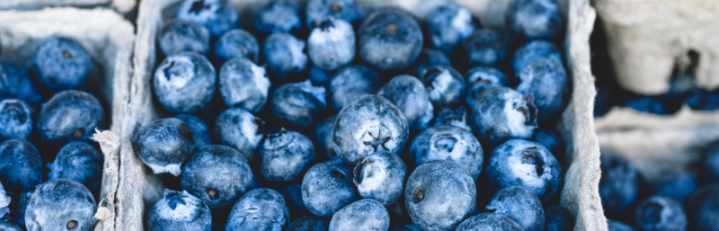 Abnehmen ohne Hungern - klappt mit Blaubeeren!