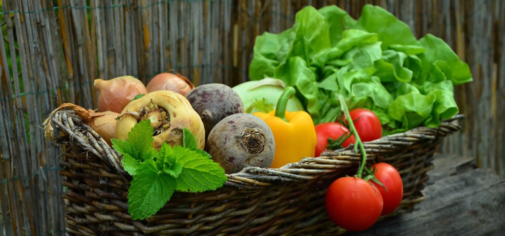 Richtige Ernährung für Muskelaufbau - Reichlich Kohlenhydrate sind der Schlüssel zum Erfolg!